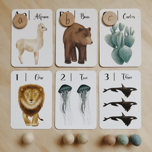 "Nature's 123" Flashcards